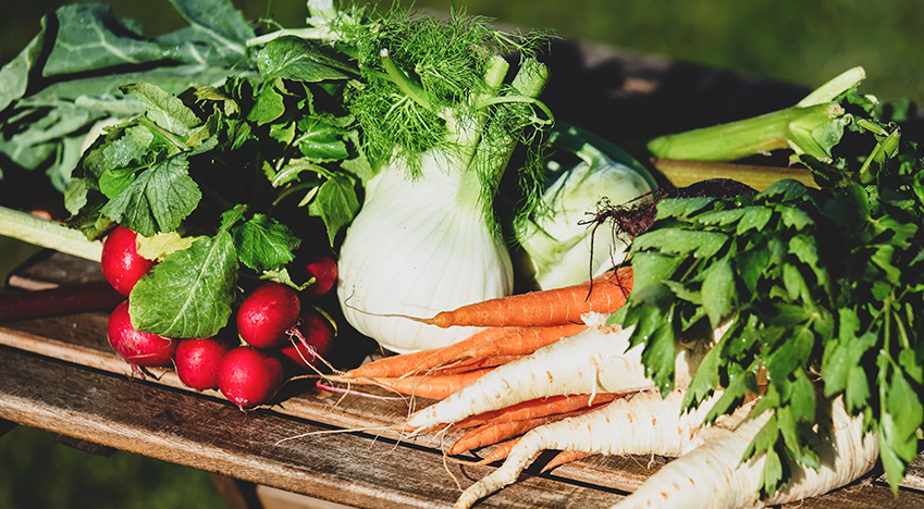 Fresh Vegetable Recipe